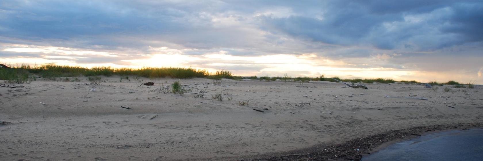 Réserve naturelle de Mewia Łacha